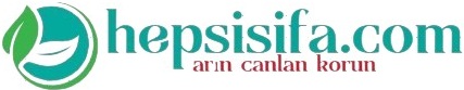 hepsisifa.com vizyonnu